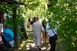 Ritiri di dieta, vieni a scoprire la forza delle piante maestre